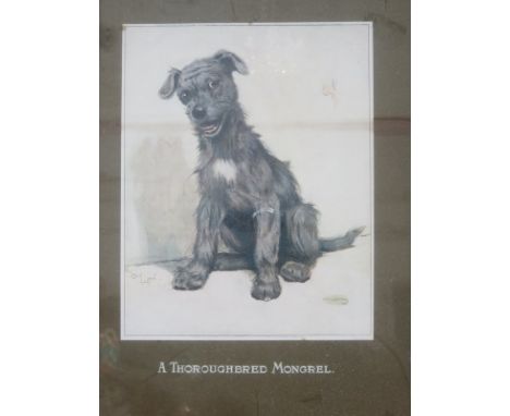 CECIL ALDIN FRAMED PRINT - A THOROUGHBRED MONGREL 42cm X 30cm