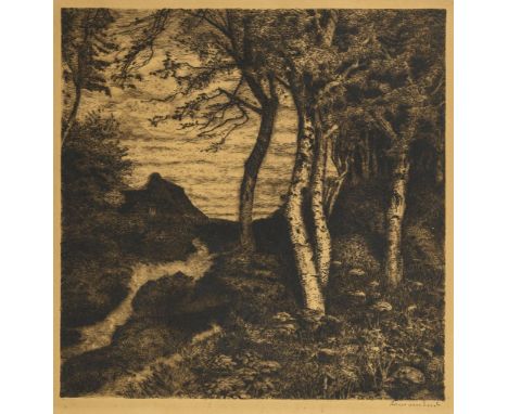                    ENDE,             Hans am(1864 Trier - 1918 Stettin)    Birken mit KateRadierung. Signatur unten rechts i