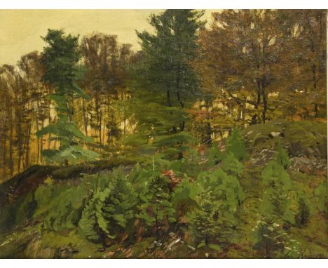                     KRÖNER,             Christian(1838 Rinteln - 1911 Düsseldorf)    "Aus dem Teuteburger Wald"Öl/Leinwand/Ho