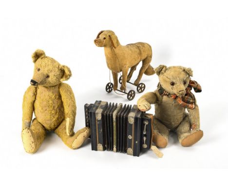2 abgeliebte Teddys, Räderhund und Ziehharmonika. Mitte 1920er Jahre.                         Weißer Steiff-Teddy (eventuell 