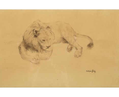                     FREY,             Oskar (1883 - 1966)    Liegender junger LöweLithografie. Im Druck signiert. Abbildung: 