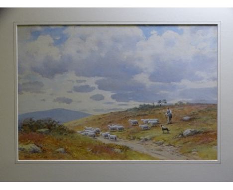 WARREN WILLIAMS ARCA, 1863-1941, watercolour, mounted but unframed - fine heathland scene with shepherd dog and flock by a tr