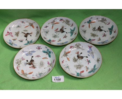 Five Chinese porcelain Saucers decorated with Moths and Butterflies.