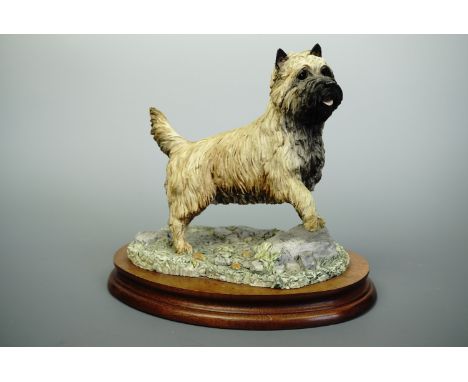 Border Fine Art "Cairn Terrier" B0245, 18 cm high, (free from damage)