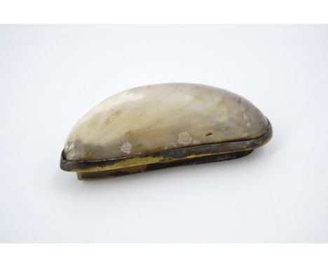 A 19th Century mussel shell pocket snuff box