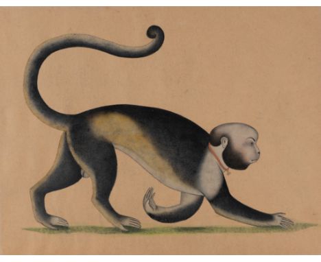 A Company School painting of a monkey, India, mid-19th century, after a Mughal painting of the same subject attributed to the