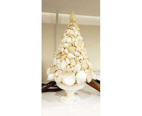 A collection of shells mounted on ceramic pedestal bowl, in tapered conical formation 