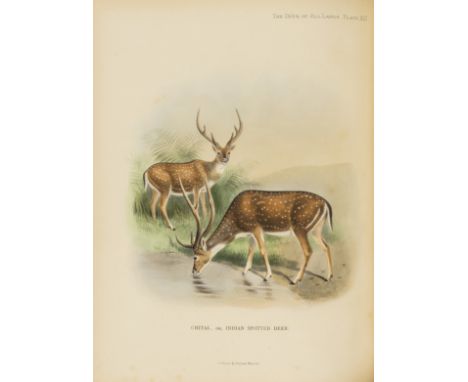 Lydekker  (Richard) The Deer of all Lands. A History of the Family Cervidæ Living and Extinct, first edition, number 418 of 5