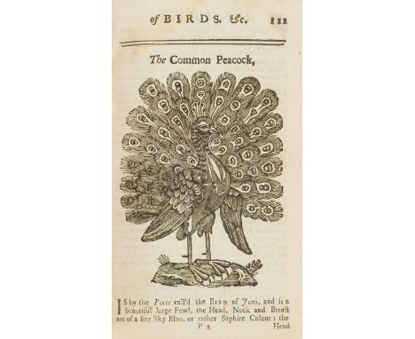 Ornithologia nova: or, A New General History of Birds, 2 vol., titles and first leaf of introduction in vol.1 in red and blac