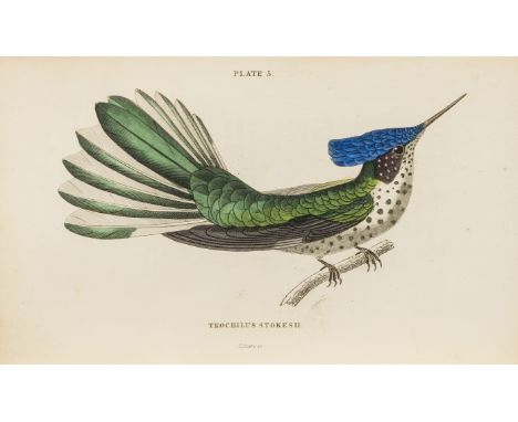 Jardine (Sir William) The Naturalist's Library, 40 vol., half-titles, 40 engraved portrait frontispieces, additional engraved