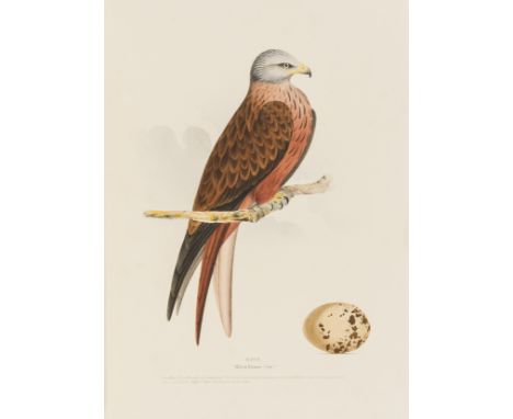 Birds.- Meyer (Henry Leonard) Coloured Illustrations of British Birds, and their Eggs , 7 vol. in 2, wood-engraved title-vign