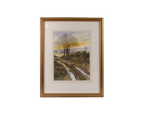 Rex Trayhorne,  watercolour on paper, 'Last light', 'Summer Afternoon' and 'Late Autumn', the first 25 x 34cm, framed and gla