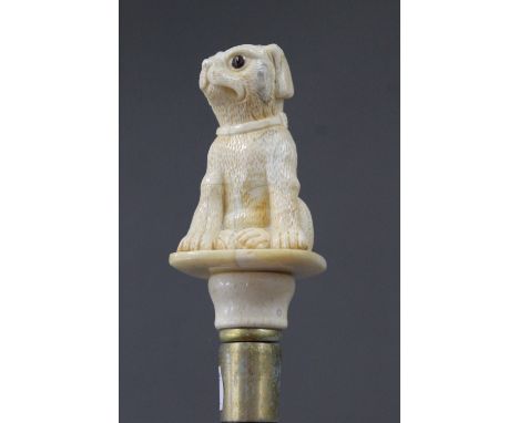 A walking stick with a carved bone handle formed as a dog. 90 cm long.