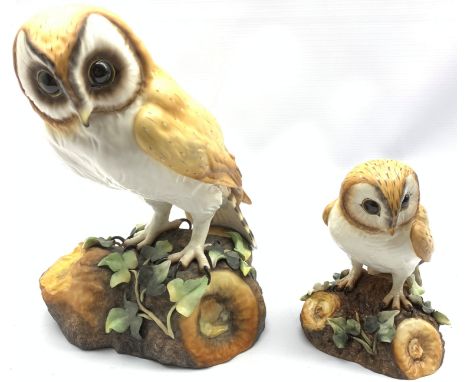 Large Royal Crown Derby model of a Barn Owl by K Wood H25cm and another by L Payne H15cm - Condition Report 