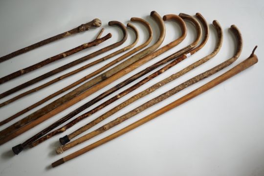 A quantity of walking sticks