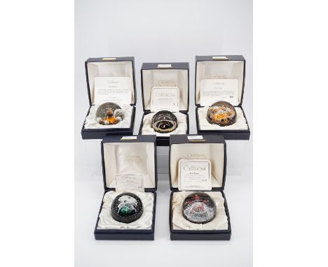 Five boxed Caithness limited edition glass paperweights including "Snow Flower", "Moonflower", "Dilemma", "Sundance" and "Chr