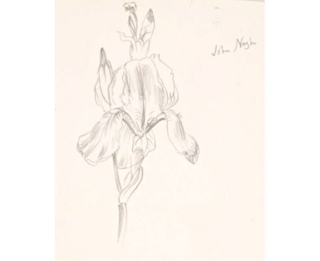 Glyn Morgan (1926 - 2015) and John Nash (1893 - 1977), sketchbook, circa 1968 - 1975 - including pencil sketch of an Iris, si