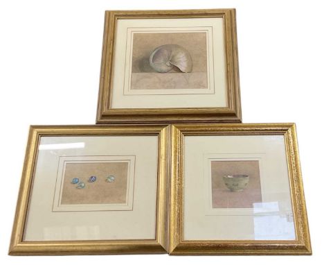 † SUE READ; watercolour, still life of mother of pearl shell, signed with initials 'SR' lower right, 19 x 21cm, a watercolour