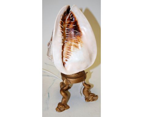 A conch shell converted into a table lamp, carved with various semi-nude figures and cherubs, mounted on a gilt metal base wi