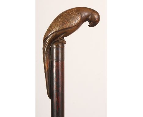 AN UNUSUAL RHINOCEROS HORN HANDLED WOOD WALKING STICK, with a metal collar, the rhino handle carved in the form of a parrot a