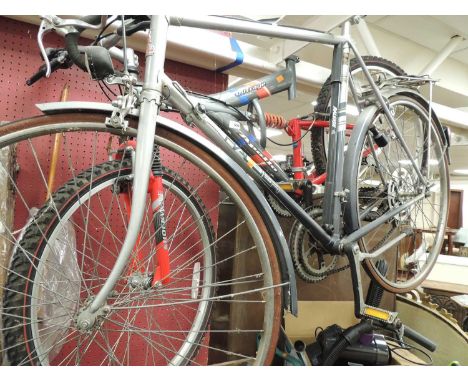 APOLLO OUTRAGE ALL TERRAIN 18 SPEED BICYCLE, and a Raleigh Pioneer ladies' bicycle (2)