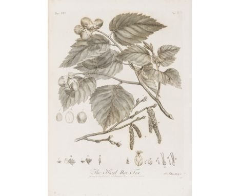 Evelyn (John) Silva: or, a Discourse of Forest-Trees..., edited by A.Hunter, 2 vol., fourth edition, half-titles, engraved po