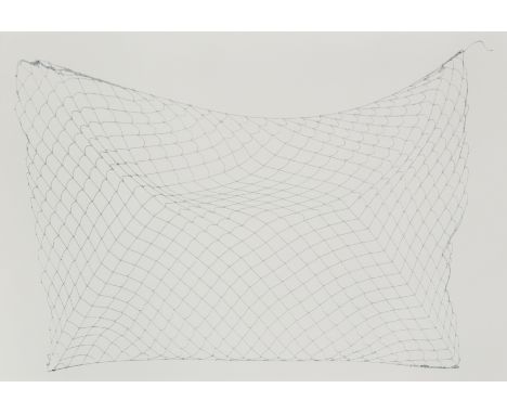 Carol Bove,&nbsp;American b.1971 -&nbsp;Netting, 2010;&nbsp;polymer gravure on Magnani Litho 350gsm paper, signed, dated and 