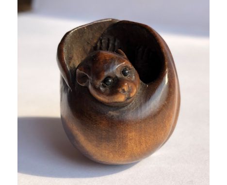 JAPANESE WOOD NETSUKE OF A CURLED BAT 