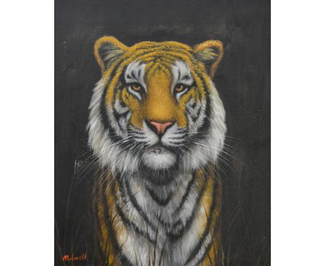 Mcdonald, portrait of a tiger, oil on canvas, 60 x 50cm