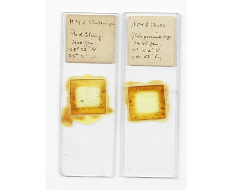 CHALLENGER EXPEDITION, 1875Two microscope specimen slides labelled 'H.M.S. Challenge Red Clay 315gm. 23' 23' N. 35 11' W.', a