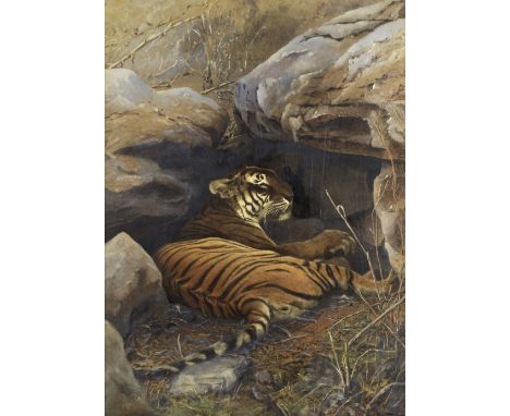 HOOPER (WILLOUGHBY WALLACE)Bengal Tiger,  large fully overpainted photograph of a tiger lying in the shade of rocks, framed a