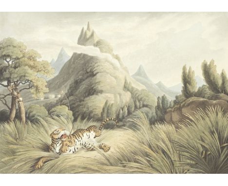 After Thomas Williamson (1758-1817) and Samuel Howett (British, 1765-1822)'A Tiger Prowling Through a Village'; 'A Tiger Kill