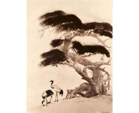 Chin San Long (Lang Jingshan) (Chinese, 1892-1995). Photograph depicting two cranes under a tree. Silver gelatin print. Hand 