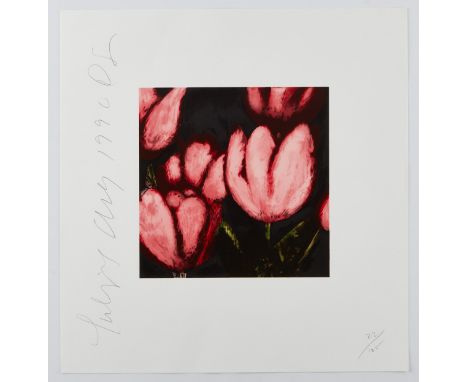 Donald Sultan (American, b. 1951). Serigraph on paper titled "Tulips," depicting pale pink tulips emerging from a dark backgr