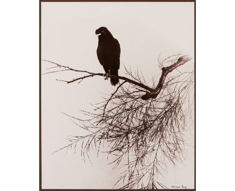 Chin San Long (Lang Jingshan) (Chinese, 1892-1995). Photograph depicting a black bird perched on a leafless tree branch. Silv