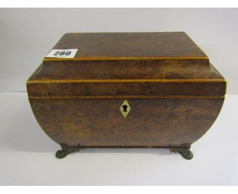 GEORGIAN TEA CADDY, burr yew twin section tea caddy with brass claw feet and original ring drop handles, 9" width 