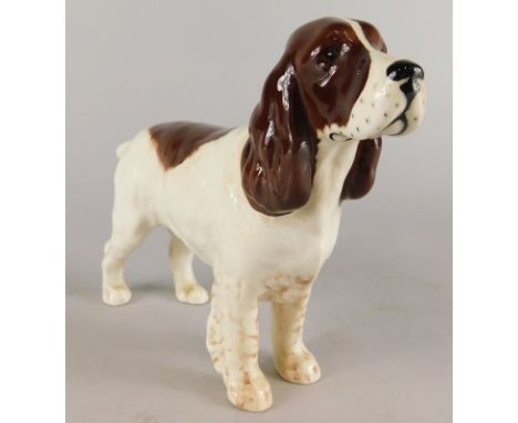 A Beswick ceramic model of a brown and white springer spaniel, stamped in black to underside