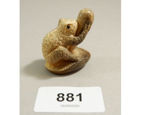 A Japanese Meiji period vegetable ivory netsuke of a speckled toad grasping a toadstool, signed, 4cm wide 