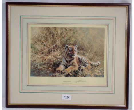 David Shepherd - limited edition print of a 'Teenage Tiger', 512/1500, 24 x 32cm