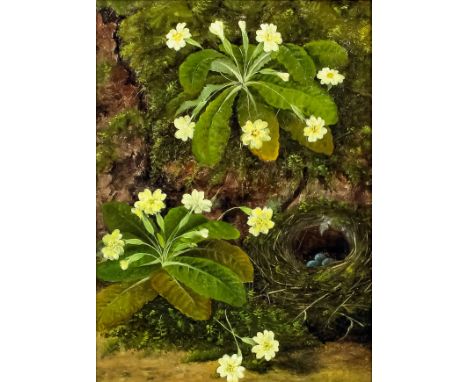 19th Century English School - Two oil painting - Still Life - Primroses and Birds nest on a mossy bank, relined canvas 12ins 