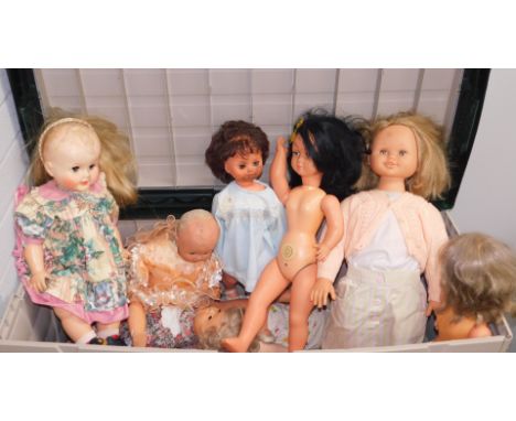 A large quantity of large dolls, all plastic bodied, unmarked, some with speech boxes. (1 garden storage trunk) 
