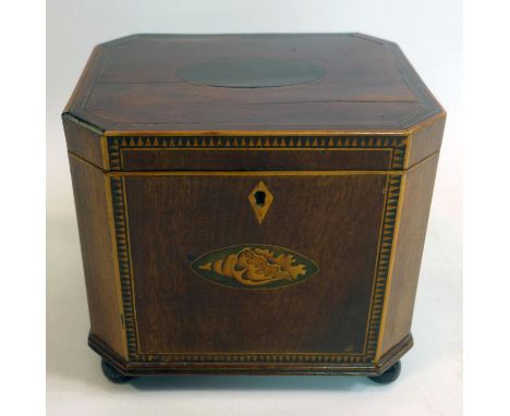 An Edwardian mahogany and box-wood tea caddy with shell motif in roundel to central on four bun feet, 16.5 x 18.5 x 15.5cm 