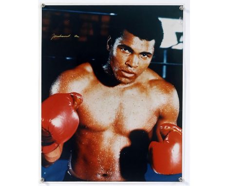 Boxing - Muhammad Ali - large colour photographic poster / print, signed in gold, flat, 16 x 20 inches.
