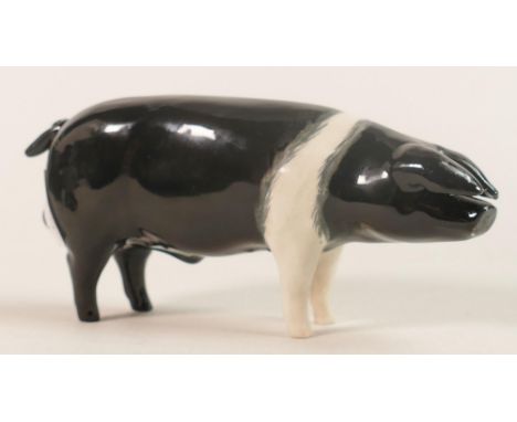 Beswick Wessex Saddleback Boar 'Fairacre Viscount 3rd" model 1512. 