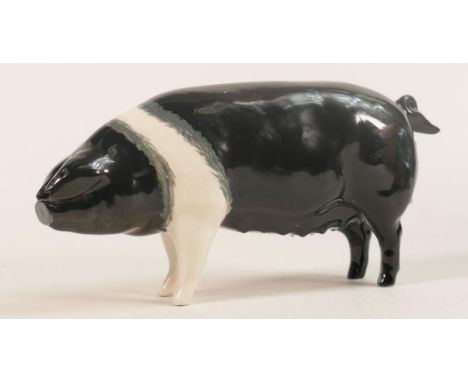 Beswick Wessex Saddleback sow 'Merrywood Silver Wings 56th' model 1362. 