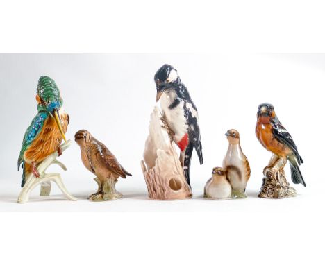 Goebel gloss figures of birds including Kingfisher CV123, Spotted Woodpecker, Snipe CV71, Grouse etc.  tallest 18cm. (5) 