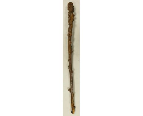 Antique Gnarled Root wood Stick, length 74cm 