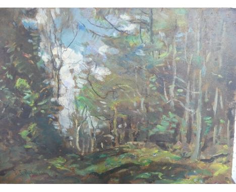 Frederick Stuart Richardson R.I, R.O.I., R.S.W. (British, 1855-1934), Trees in a Wooded Landscape, oil on board, signed lower