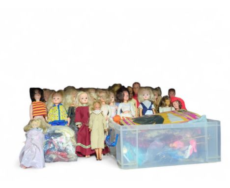 A large collection of vinyl dolls - Sindy, Barbie, Midge, Patch, Paul; various dates, all dressed and with a large quantity o