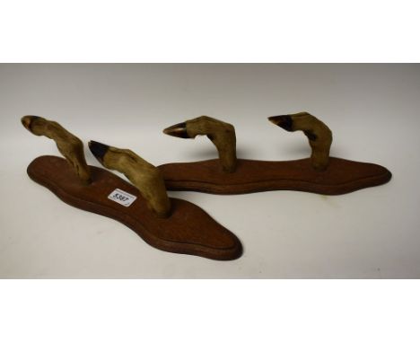 A pair of taxidermy coat or whip racks